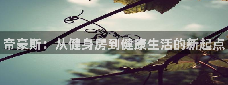 意昂2平台